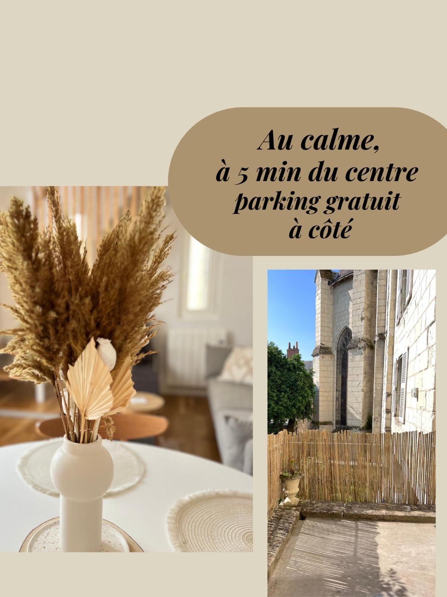 Le Jeanne, Appartement En Duplex Proche Forteresse Et Centre Ville Chinon Extérieur photo
